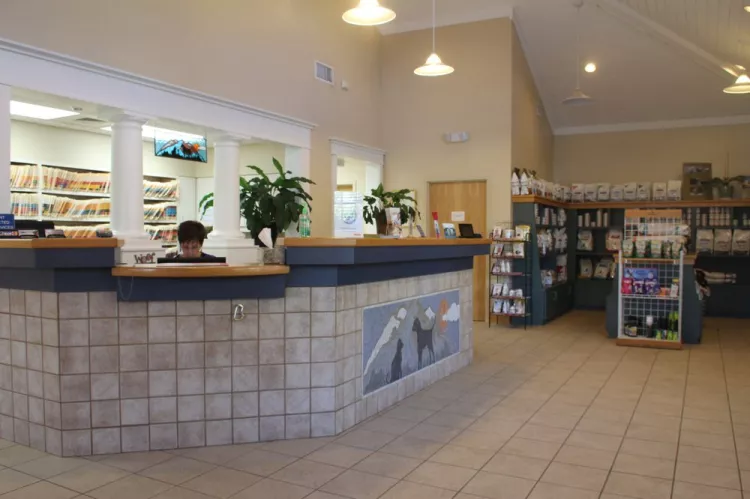 WNC Veterinary Hospital, Tennessee, Asheville